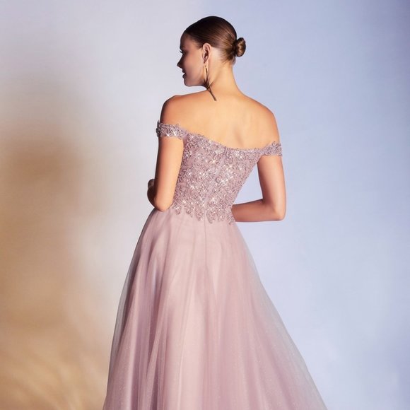 NEW LONG A-LINE OFF THE SHOULDER SLEEVELESS TULLE DRESS WITH ZIPPER BACK CD0177